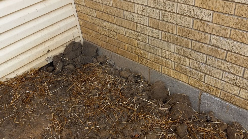 Photo of Coopers Lawn Landscaping and Handyman Services