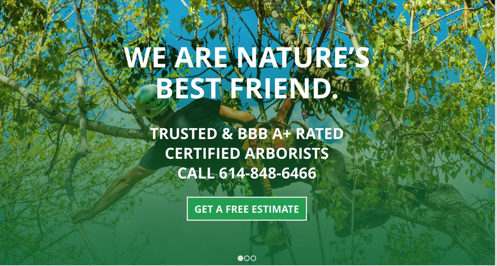 Photo of Charter Oaks Tree & Landscaping