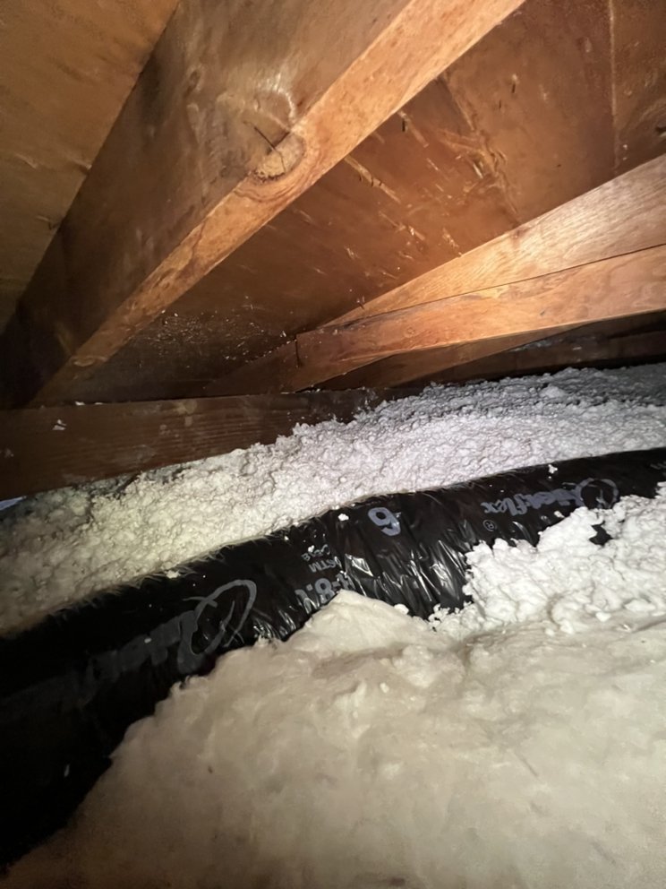 Photo of Attic Professional