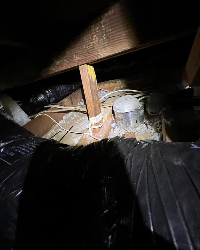 Photo of Attic Professional
