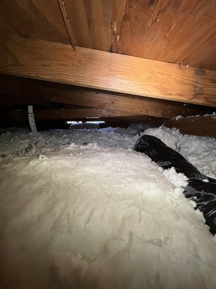 Photo of Attic Professional