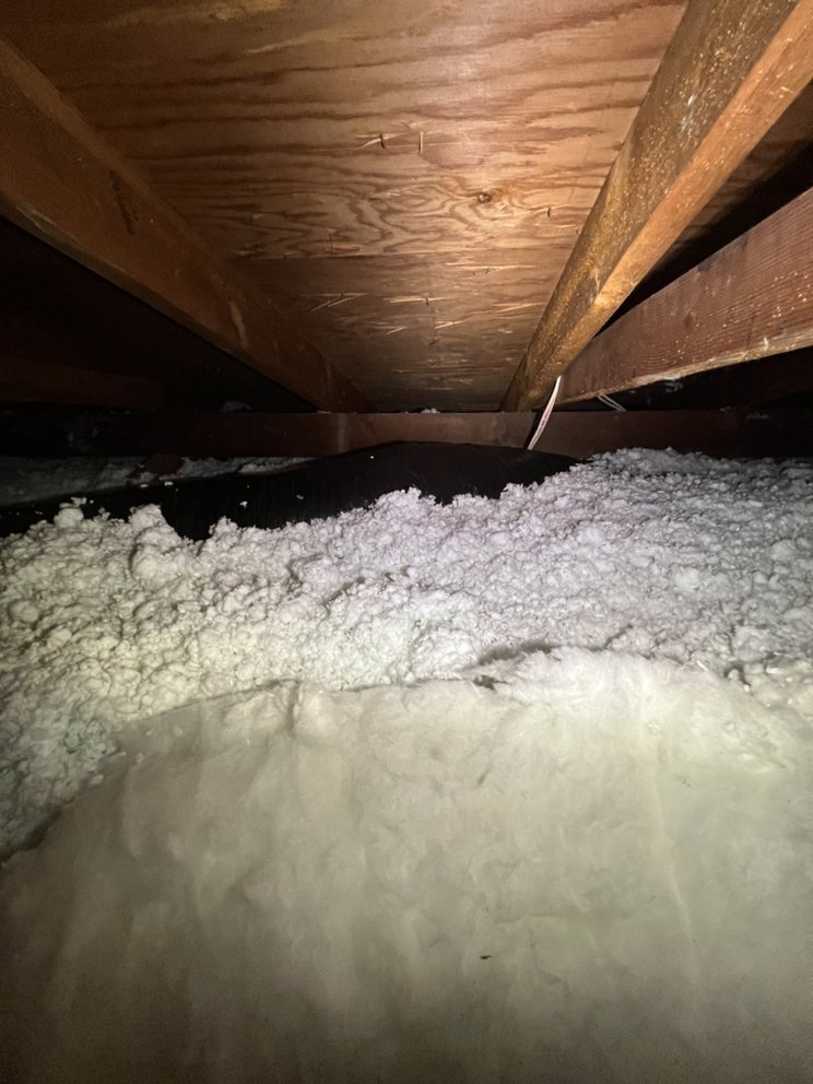 Photo of Attic Professional
