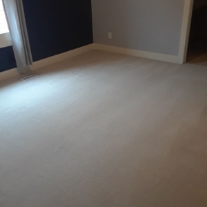 Indianapolis B & C Carpet Care