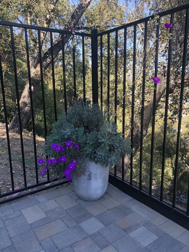 Photo of Eliseo Landscape Maintenance