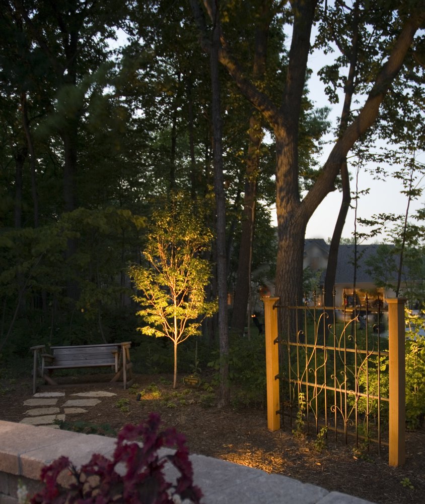 Photo of Terra-Firma Landscape