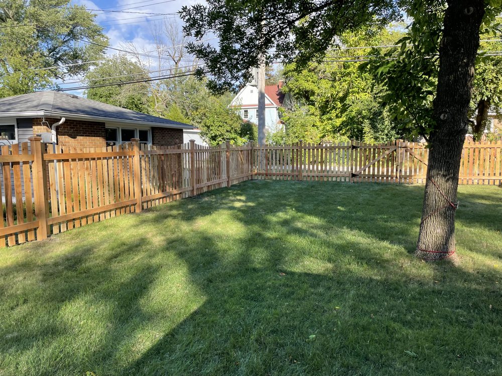 Photo of First Fence