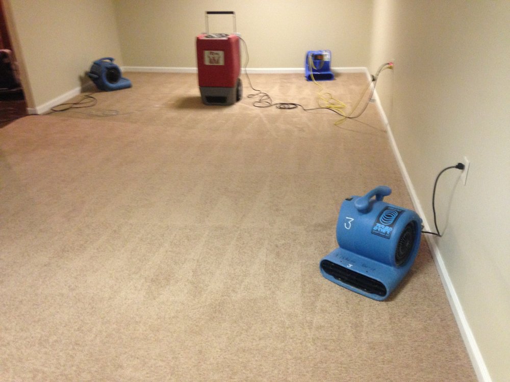 Photo of A Affordable Carpet & Upholstery Cleaning
