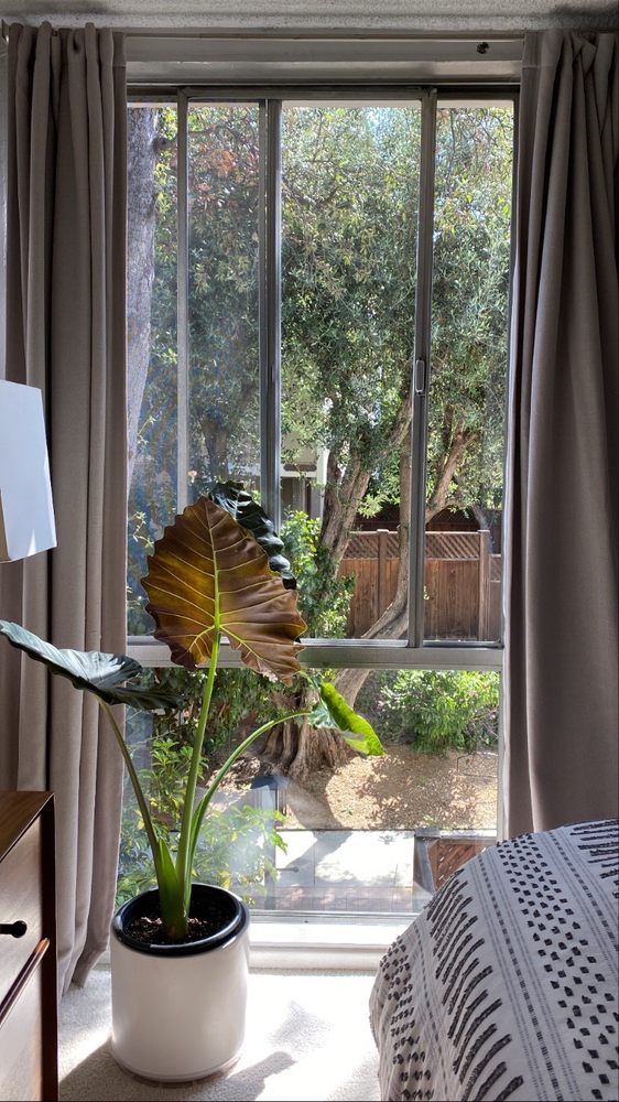 Photo of West Window Washing