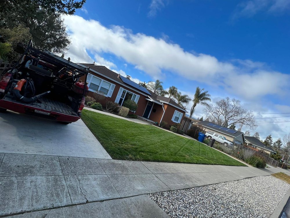 Photo of New View Landscaping & Gardening