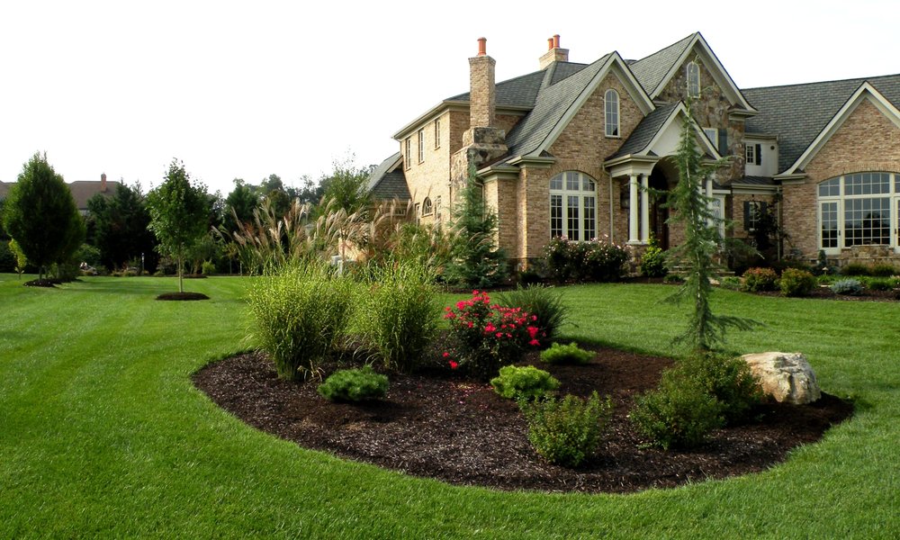 Photo of New View Landscaping & Gardening