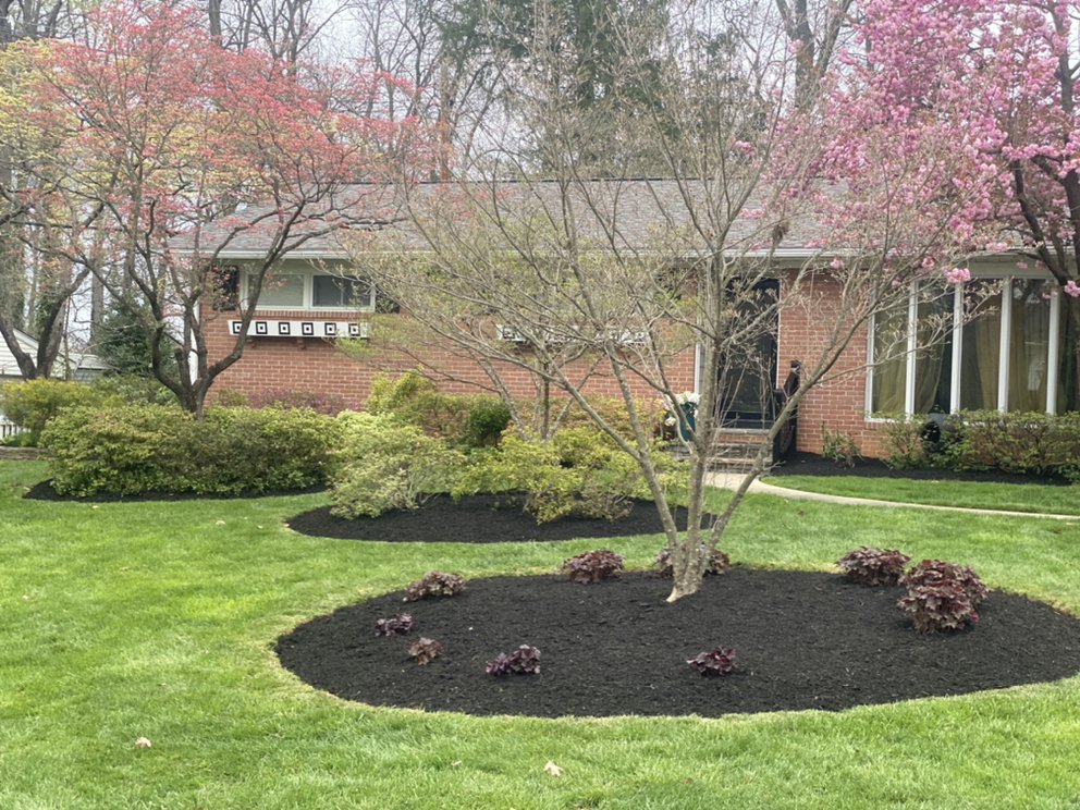 Photo of Lawn Rangers