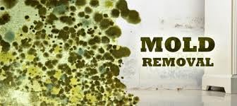 Photo of Restoreclean Pro