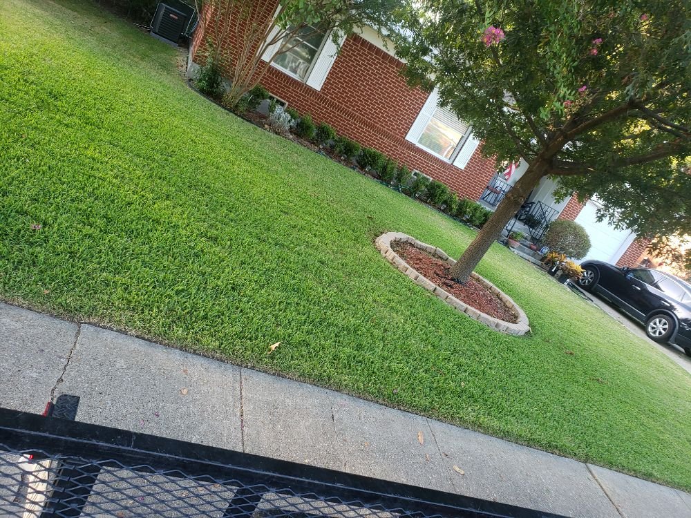 Photo of Southern Gardens Lawn and Landscape