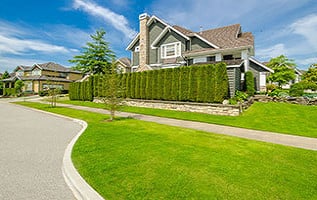Photo of Adan Landscaping