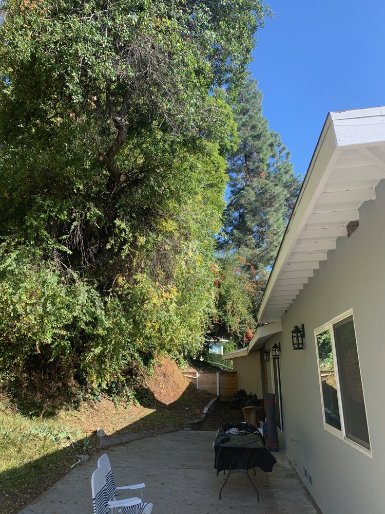 Photo of Lopez Tree Service