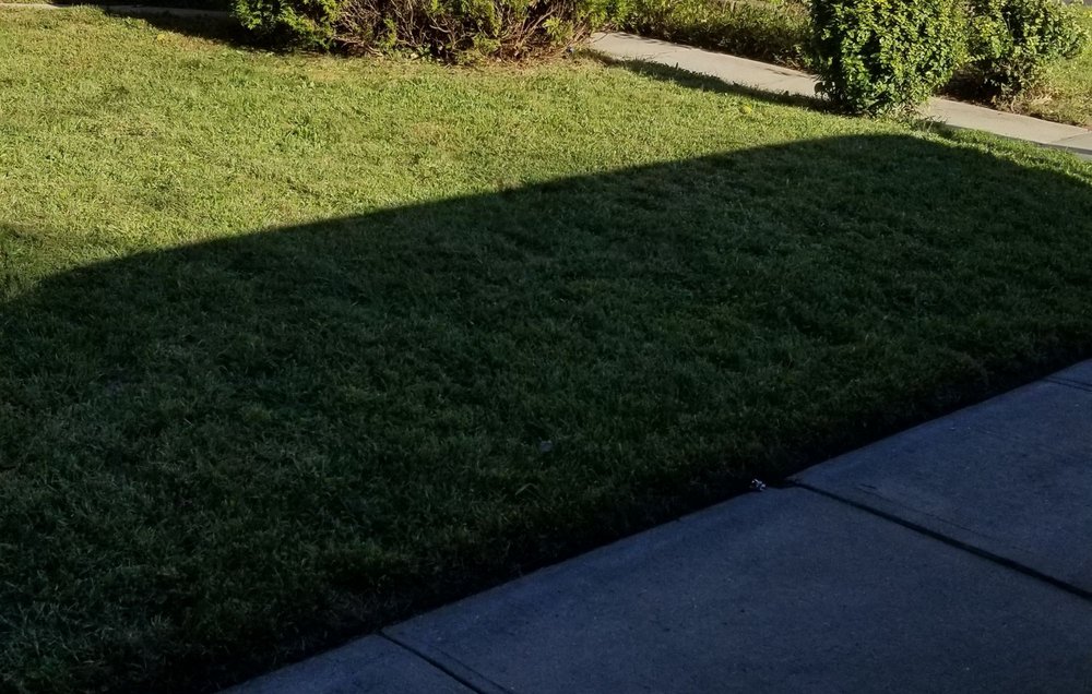 Photo of Customer First Lawn Service