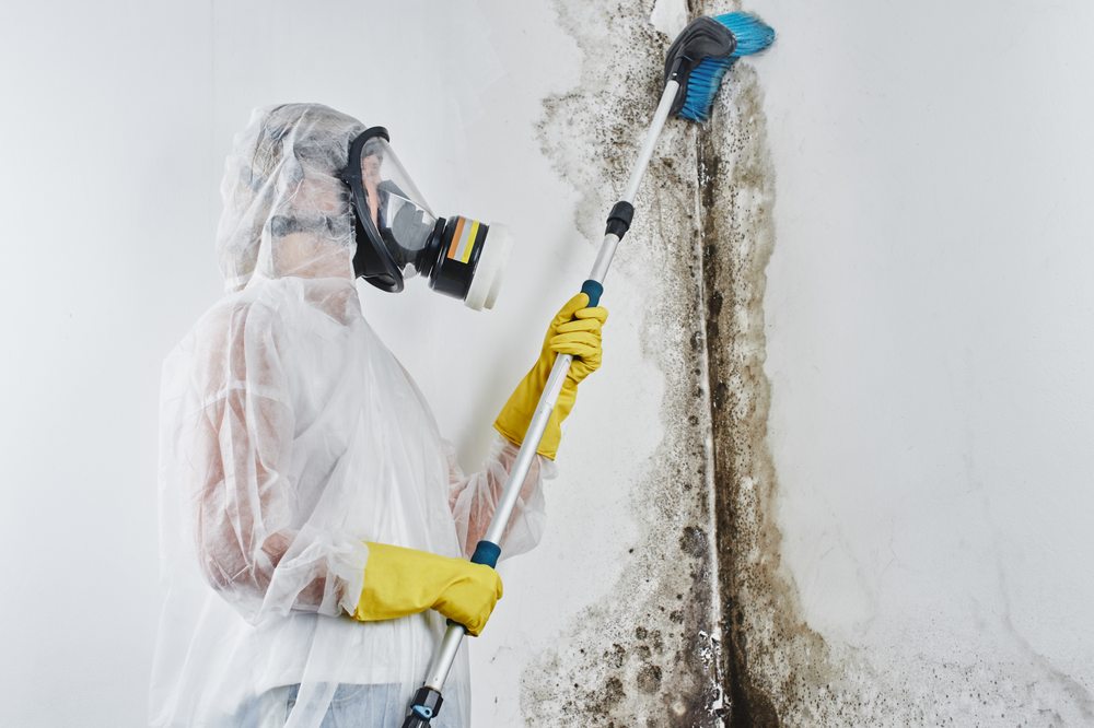 Photo of Moisture Master Pros