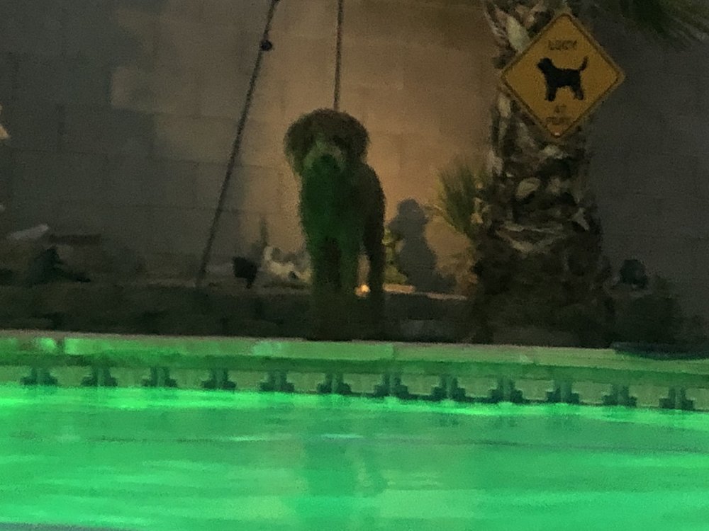 Photo of Splash Pool Service and Repair