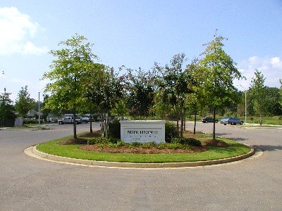 Photo of Orkin Property Management