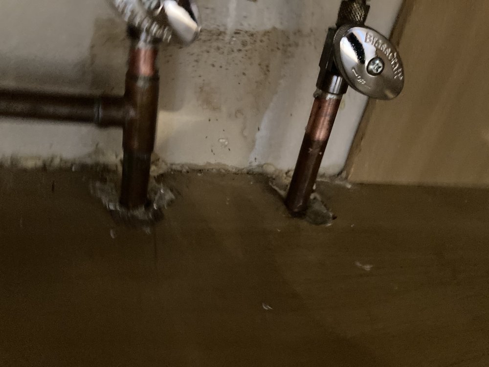 Photo of Ray the Plumber