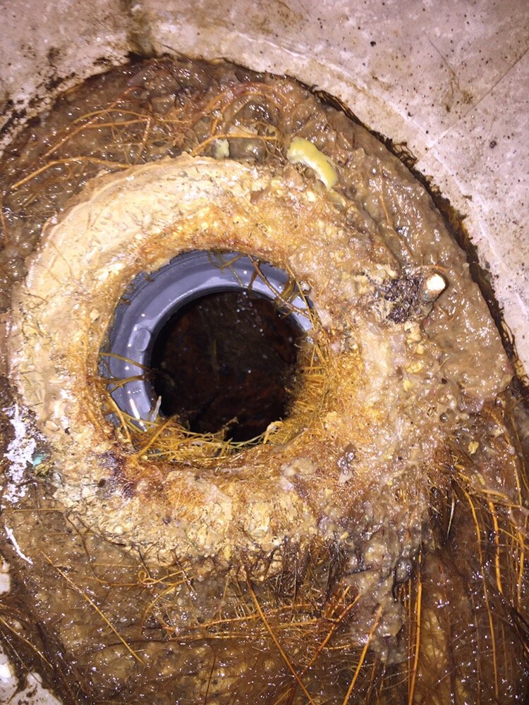 Photo of Pipe Doctors
