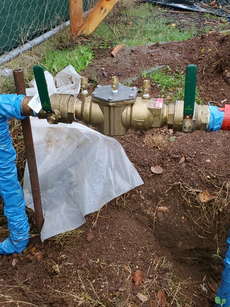 Photo of Longevity Fire Sprinklers