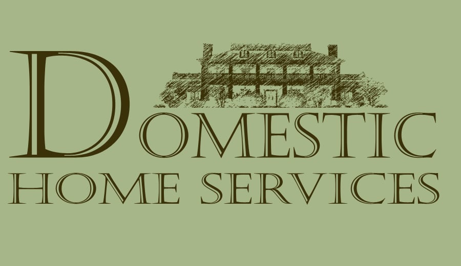Photo of Domestic Home Services LLC