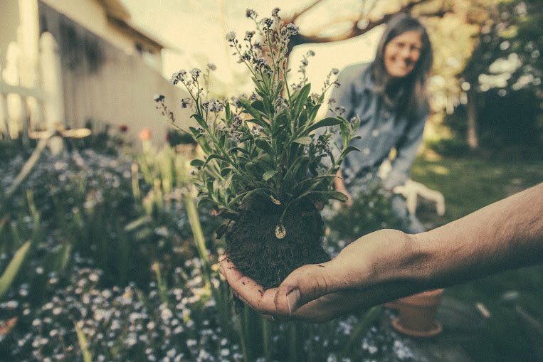 Photo of Gan Eden Landscaping