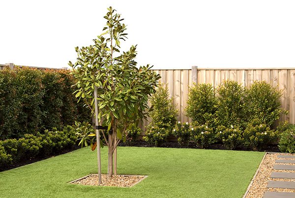 Photo of Artificial Grass Pros of El Paso