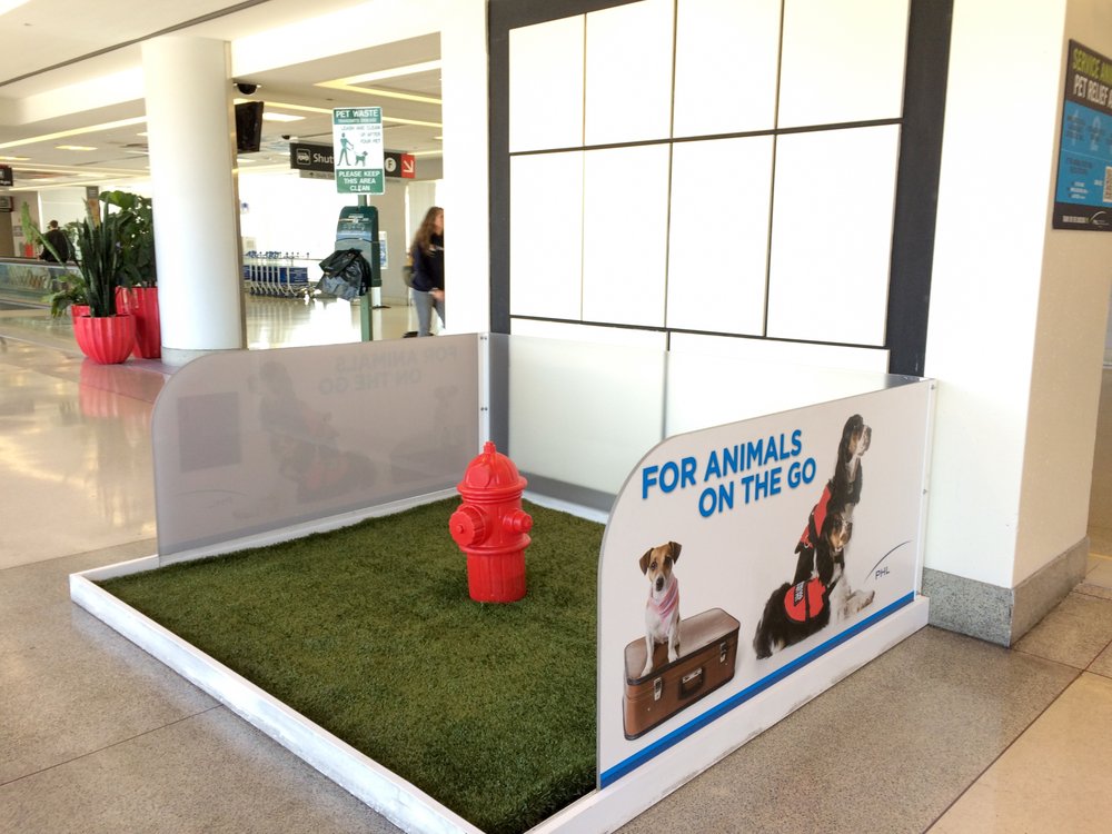 Photo of Artificial Grass Pros of El Paso