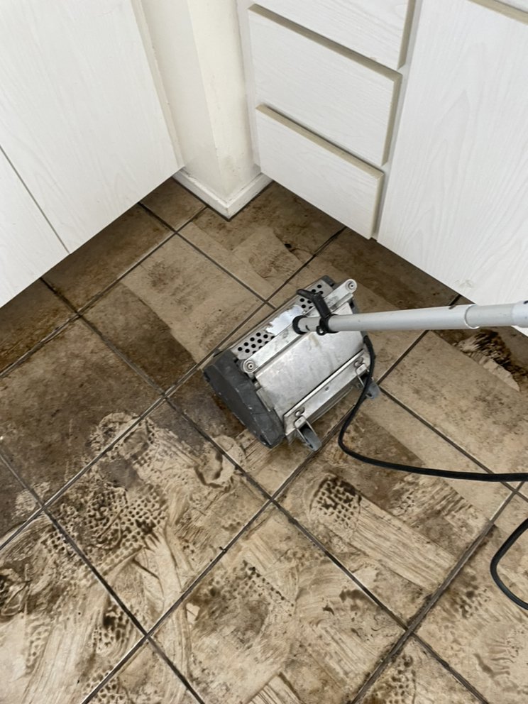 Photo of Silver Olas Carpet Tile Flood Cleaning