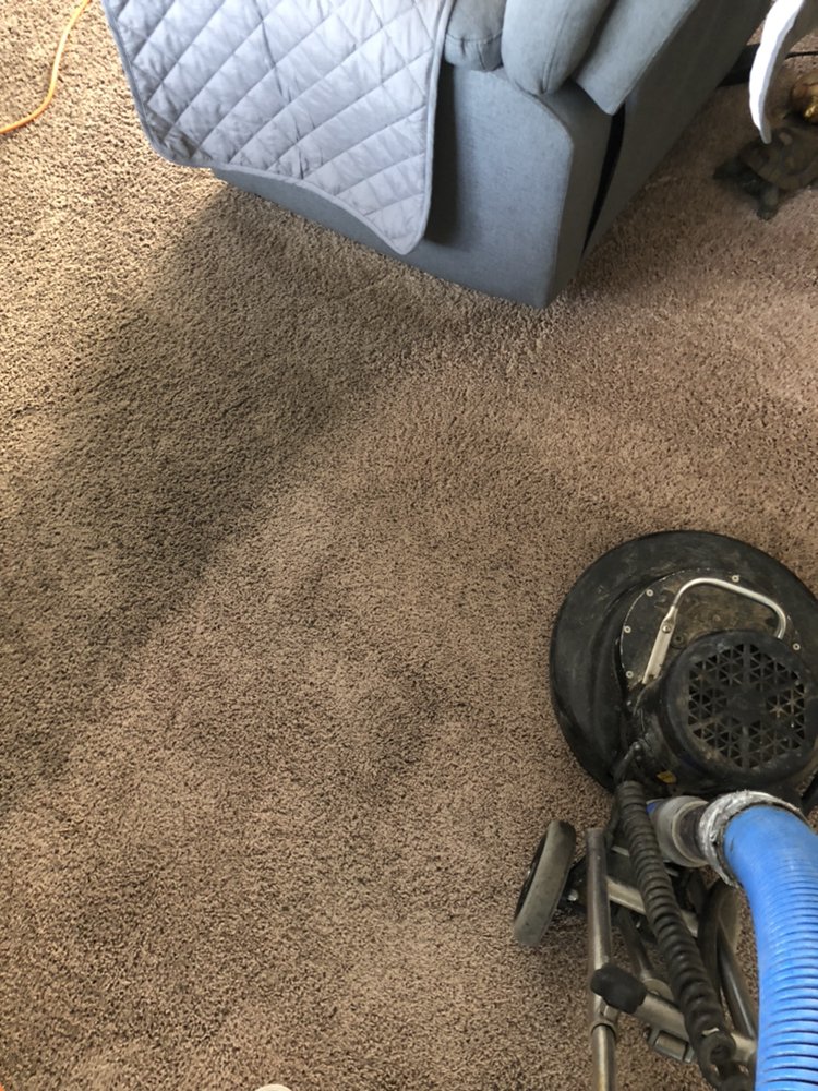 Photo of Silver Olas Carpet Tile Flood Cleaning