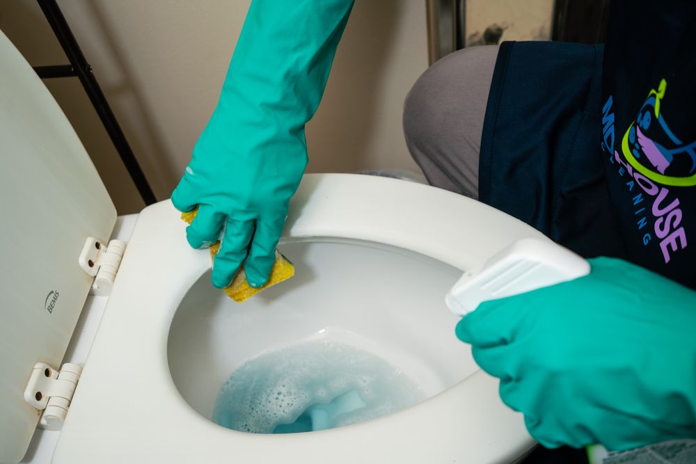 Photo of MD House Cleaning & Services
