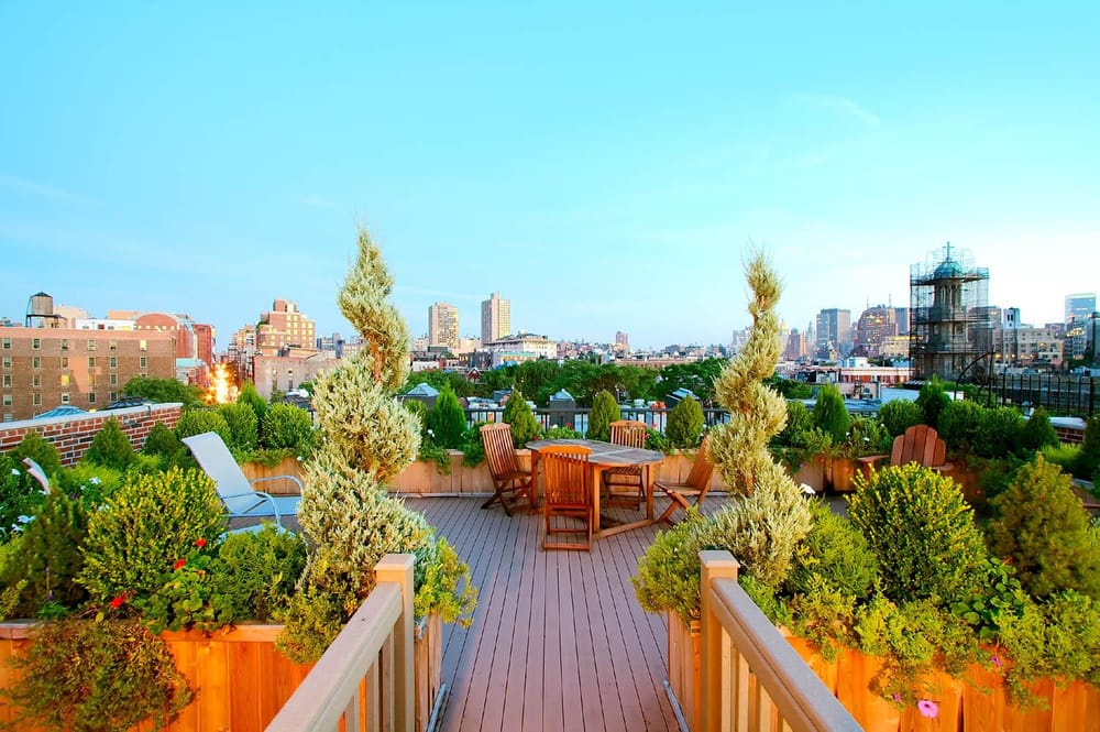 Photo of Amber Freda Landscape Design