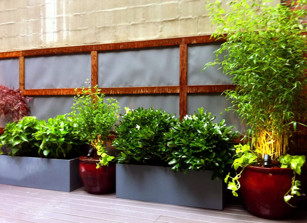 Photo of Amber Freda Landscape Design