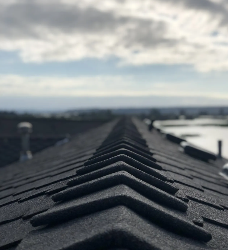 Photo of Roof Warriors