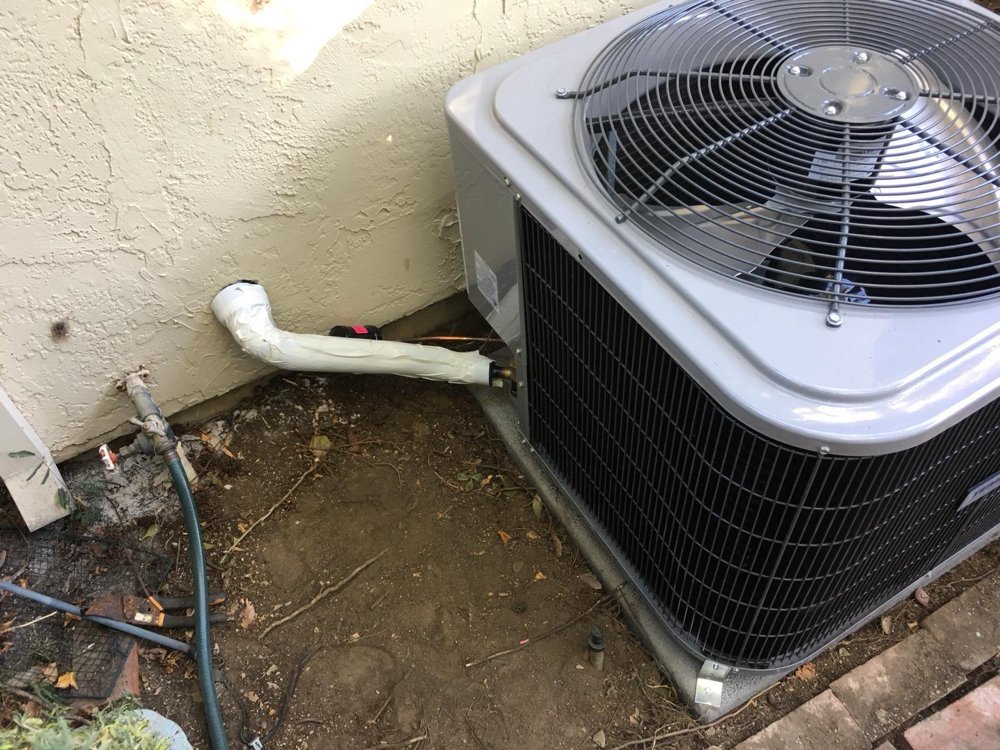 Photo of Kelemen Fix