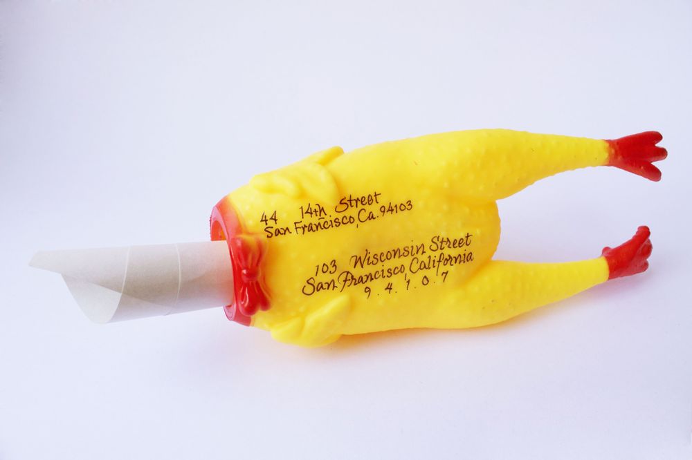 Photo of Carrier Chicken