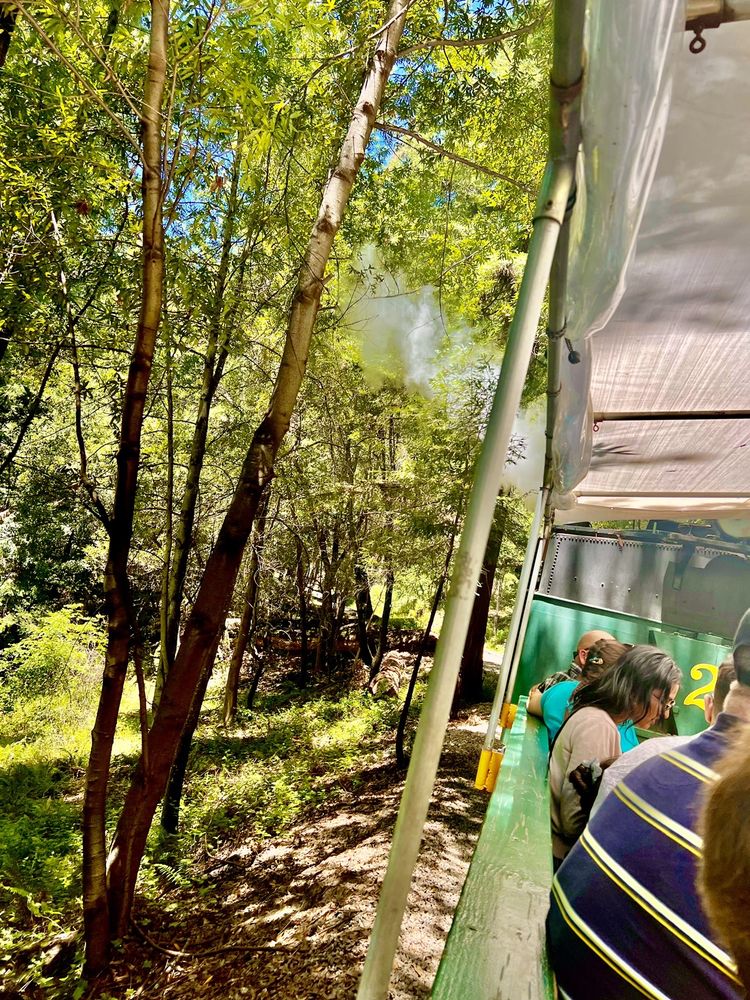 Photo of Roaring Camp Railroads