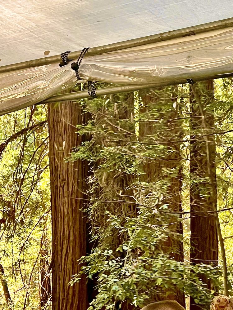 Photo of Roaring Camp Railroads