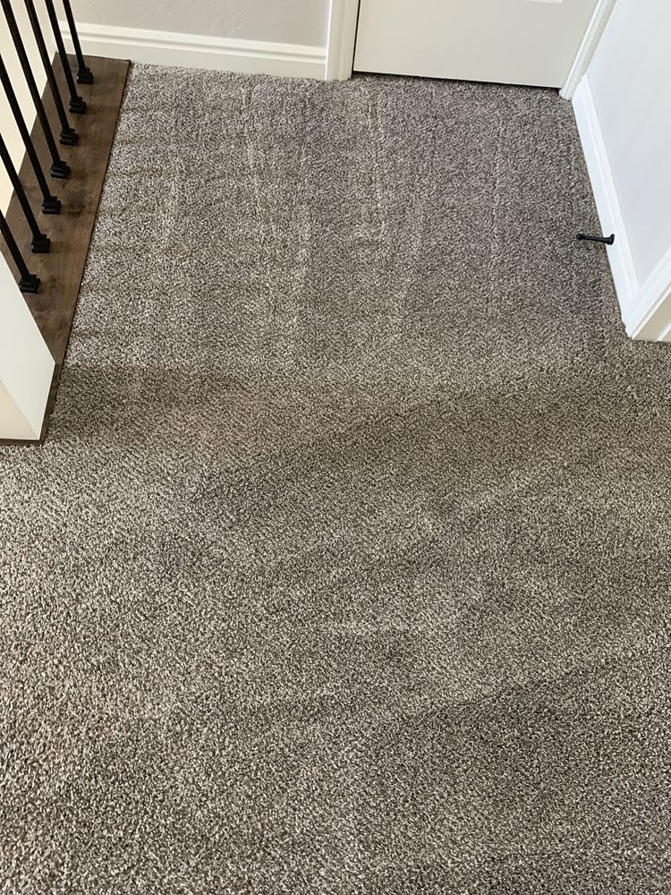 Photo of Rich's Carpet Cleaning Plus