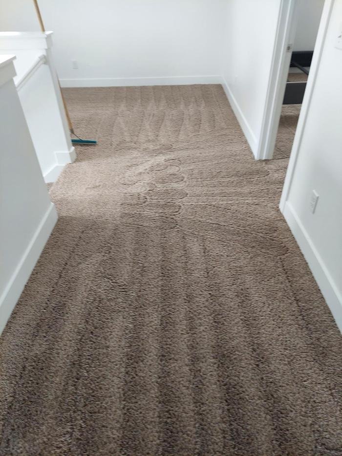 Photo of Rich's Carpet Cleaning Plus