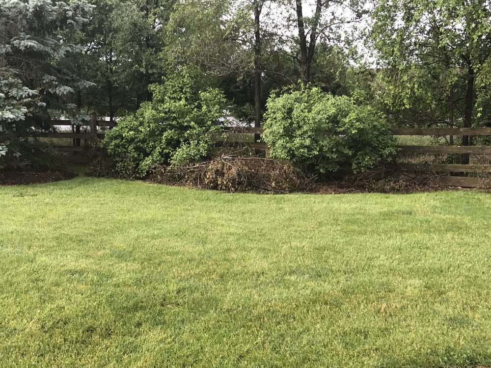 Photo of Best Choice Landscape