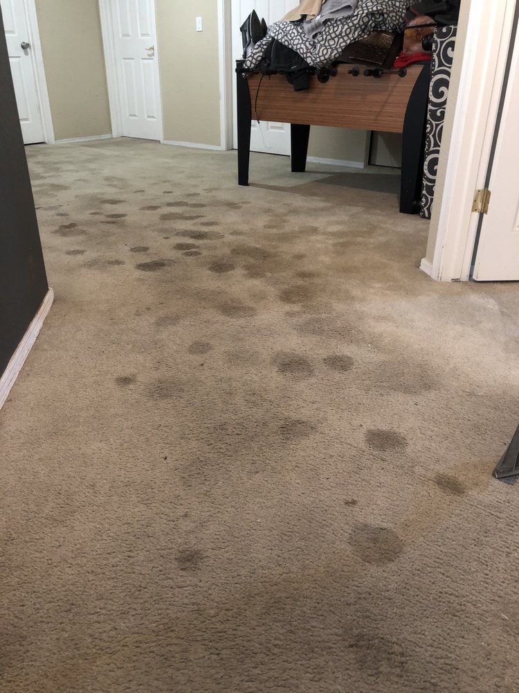 Photo of K & C Carpet Cleaning