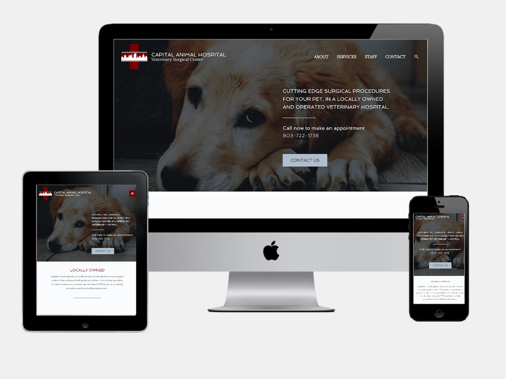 Photo of Social Spark Media