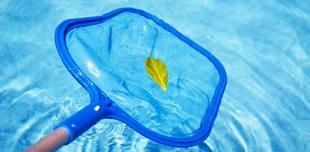 Photo of Big D Pools