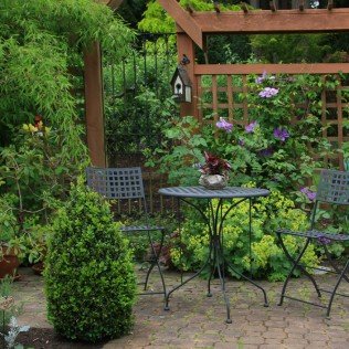 Photo of Central Tree Services and Landscape Designs