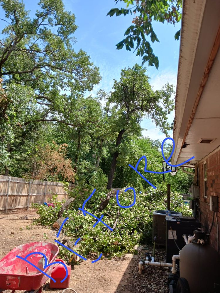 Photo of Ramos Landscaping & Tree Service