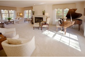Photo of New England Professional Cleaning