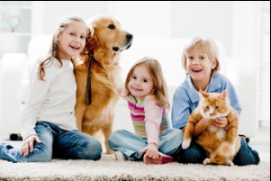 Photo of New England Professional Cleaning
